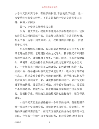 小学语文教师实习心得体会_小学语文教师个人工作小结