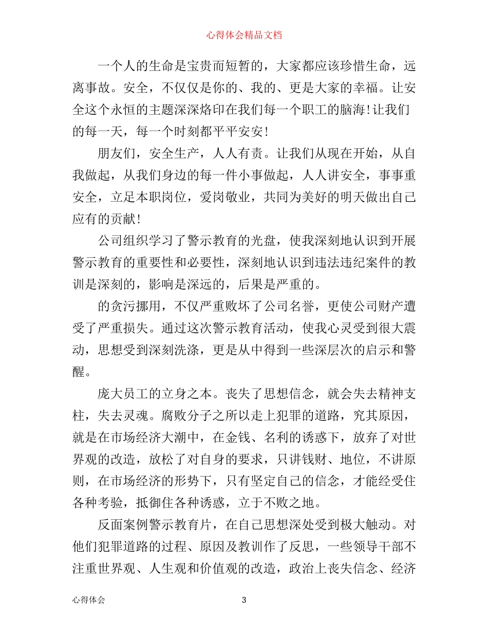 年看安全警示教育片心得体会_第3页