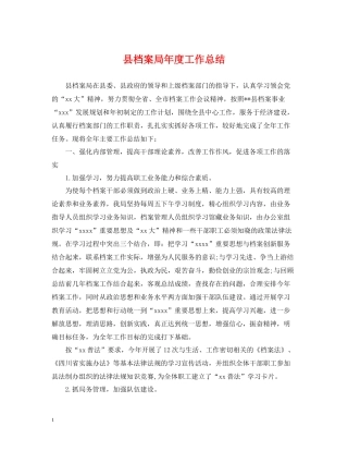 县档案局年度工作总结