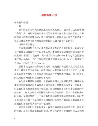 销售新年计划 