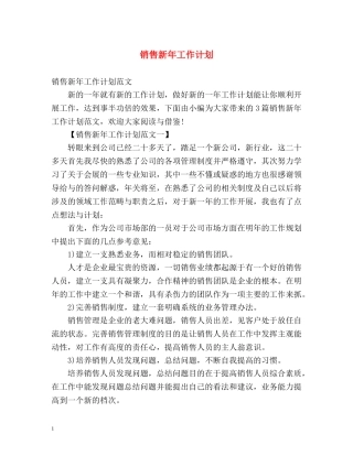 销售新年工作计划 