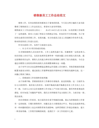 销售新员工工作总结范文 