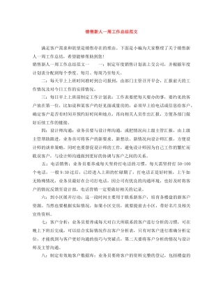 销售新人一周工作总结范文 