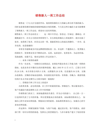 销售新人一周工作总结 