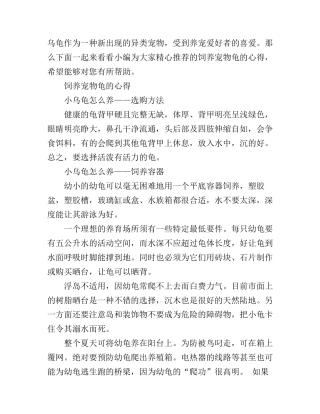 宠物龟饲养心得总结