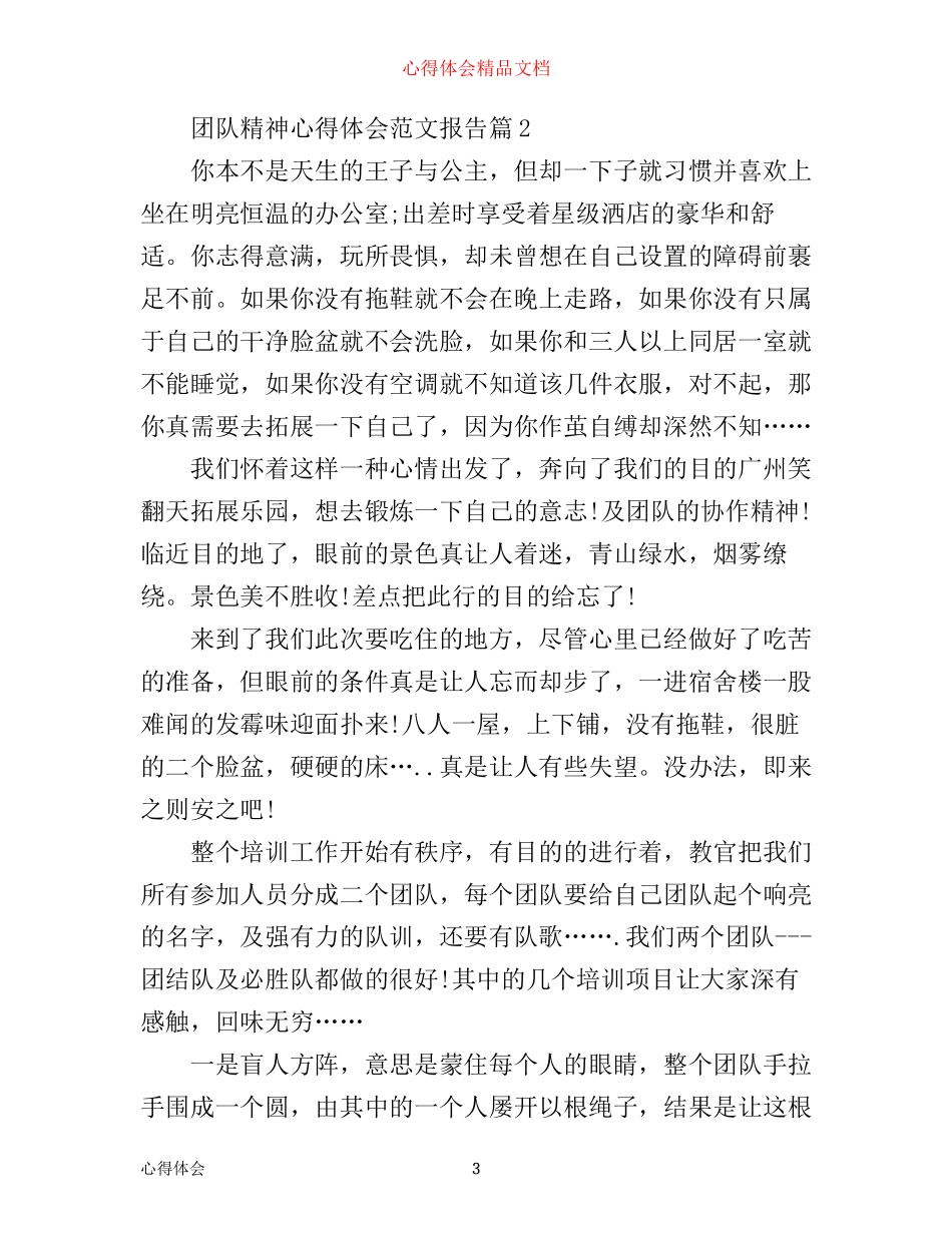 团队精神心得体会范文报告_第3页