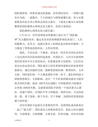 团队精神心得体会范文报告
