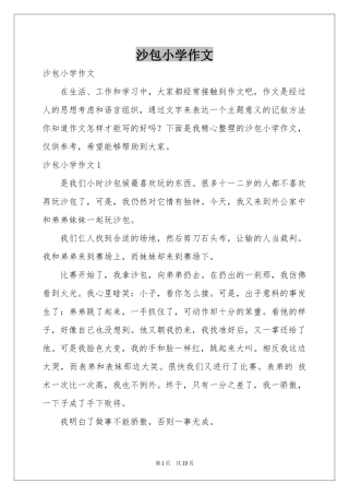 沙包小学作文