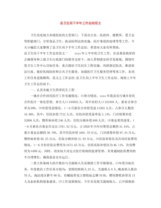 县卫生局下半年工作总结范文
