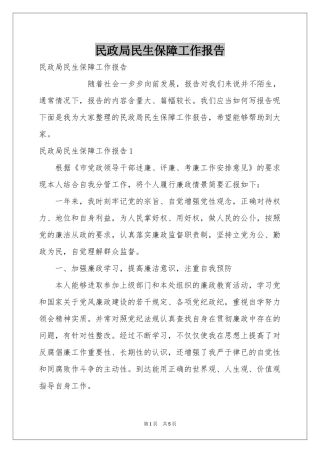 民政局民生保障工作报告