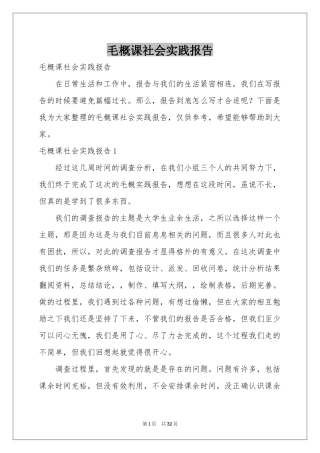 毛概课社会实践报告