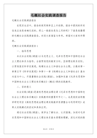 毛概社会实践调查报告