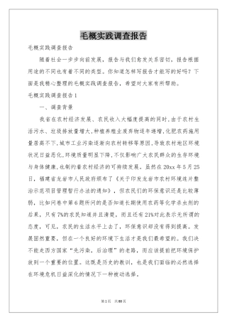 毛概实践调查报告