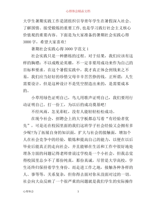 暑期社会实践心得3000字3篇