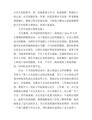 大学生挂职心得体会