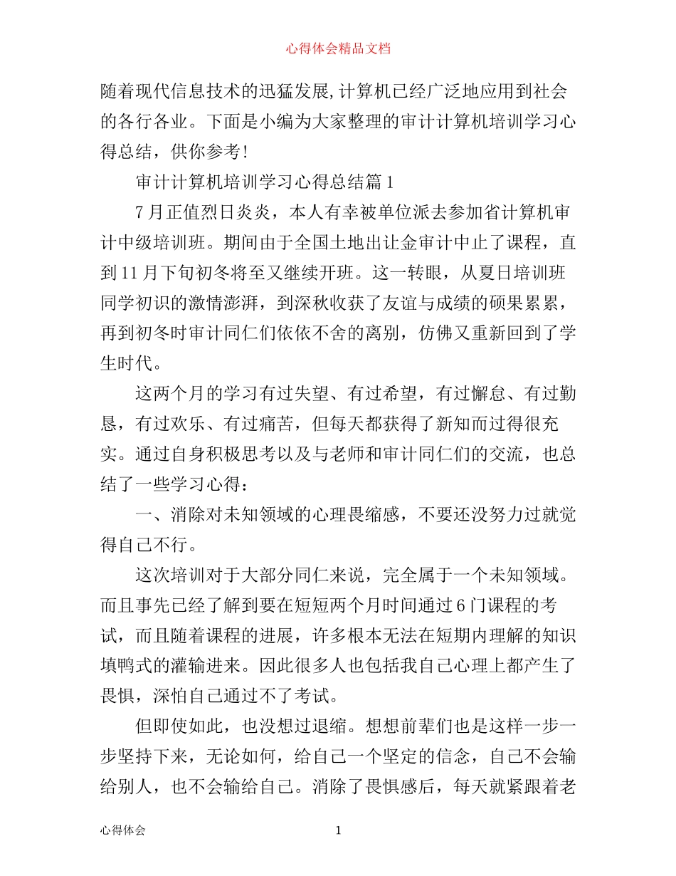 审计计算机培训学习心得总结_第1页