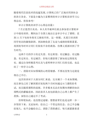 审计计算机培训学习心得总结