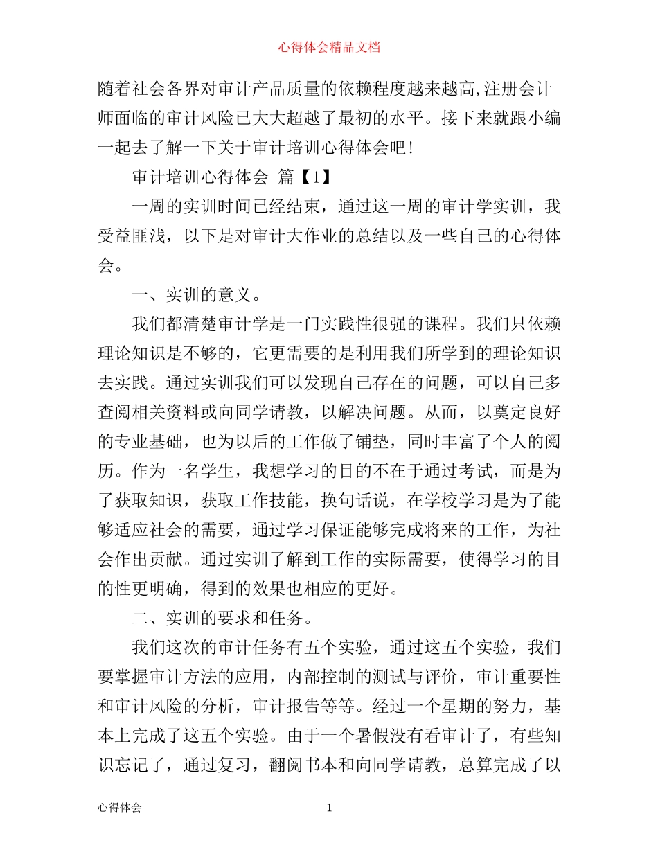 审计培训心得体会_第1页