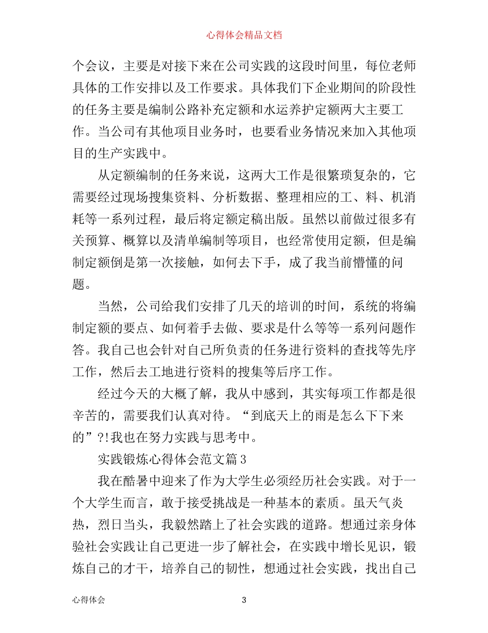 实践锻炼心得体会_第3页