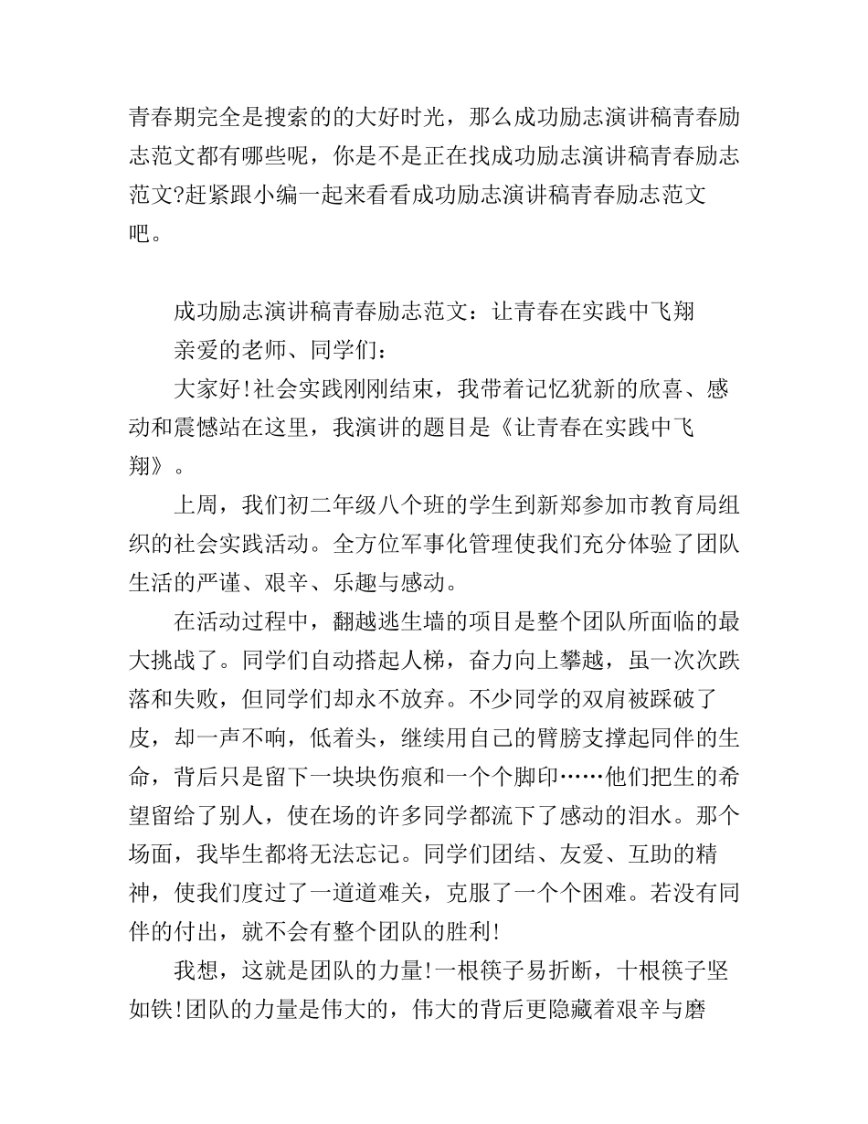 成功励志演讲稿青春励志范文_第1页