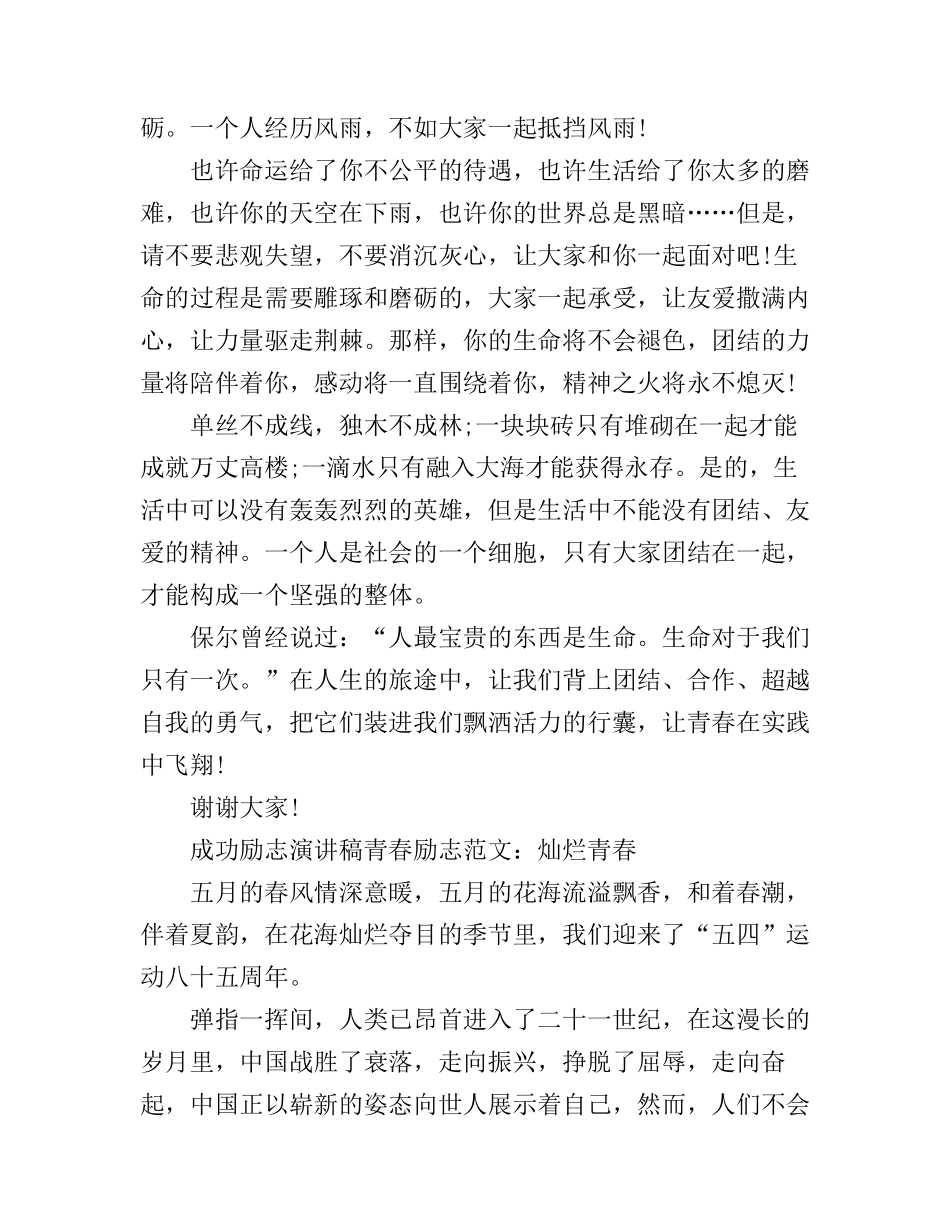 成功励志演讲稿青春励志范文_第2页