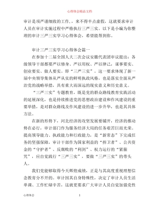 审计三严三实学习心得体会