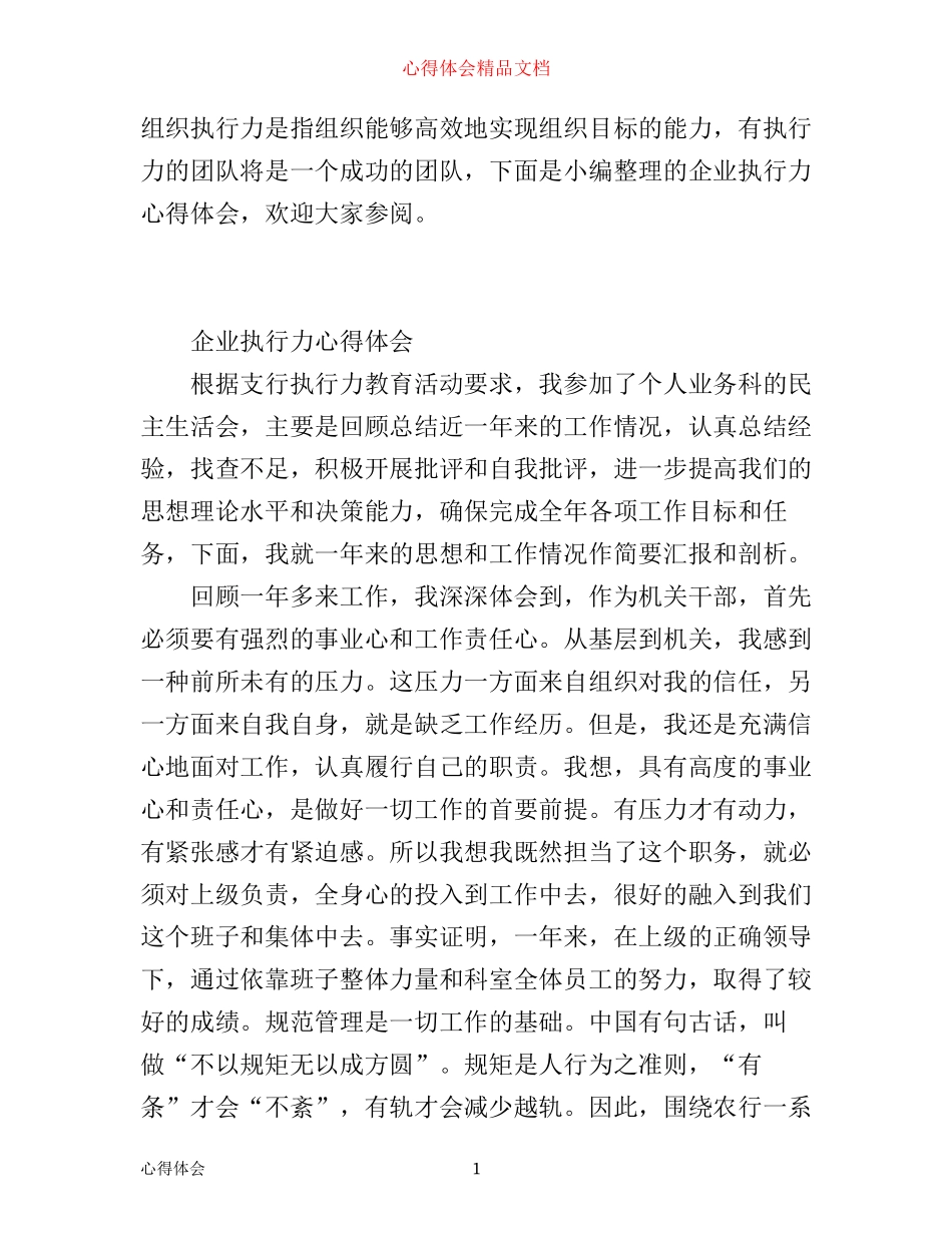 企业执行力心得体会范文_第1页