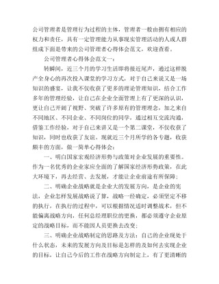 公司管理者心得体会范文3篇