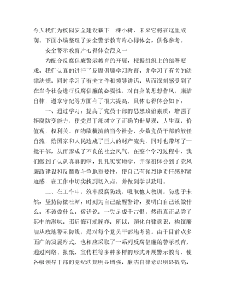 安全警示教育片心得体会