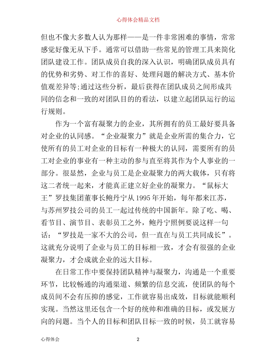 团队精神建设心得体会_第2页