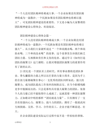 团队精神建设心得体会