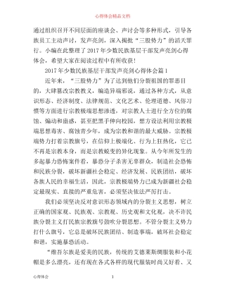 年少数民族基层干部发声亮剑心得体会