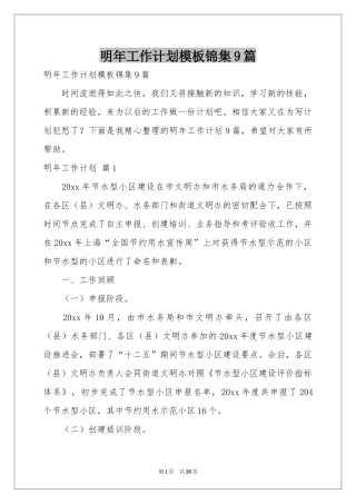 明年工作参考计划模板锦集9篇
