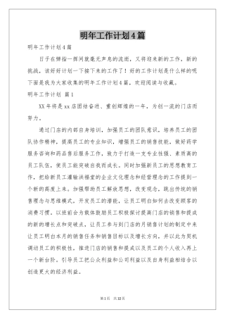 明年工作参考计划4篇