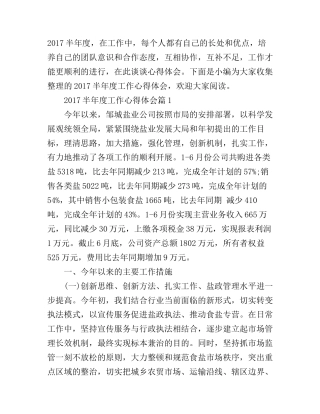 2017半年度工作心得体会