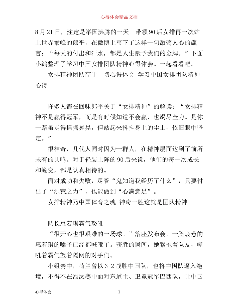 女排精神团队高于一切心得体会_第1页