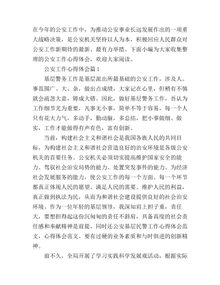 公安工作心得体会