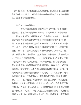 新员工年终心得体会范文
