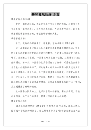 攀登者观后感15篇