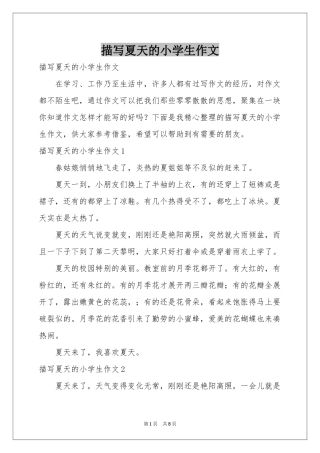 描写夏天的小学生作文