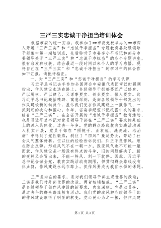 三严三实忠诚干净担当培训体会