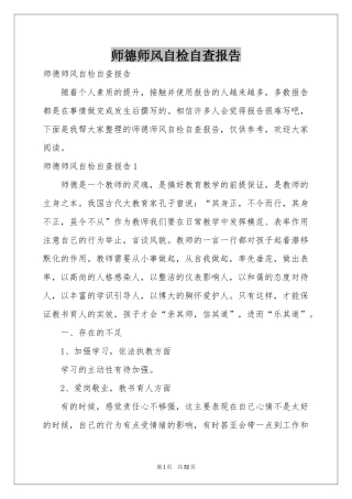 师德师风自检自查报告