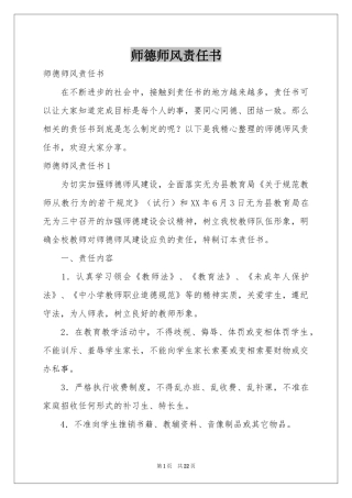 师德师风责任书