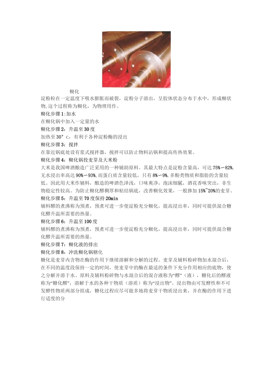 啤酒生产工艺流程_第2页
