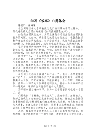 学习《效率》心得体会