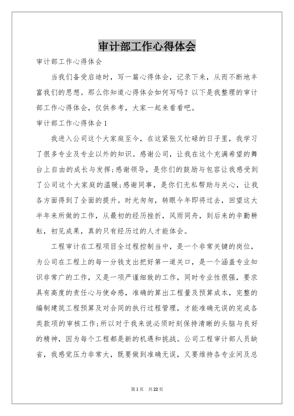 审计部工作体会心得_第1页