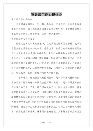 审计部工作体会心得