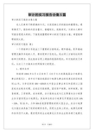 审计的实习报告合集5篇