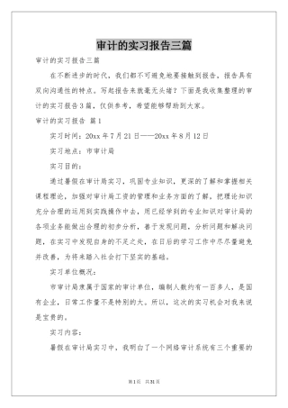 审计的实习报告三篇