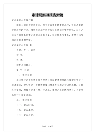 审计局实习报告六篇